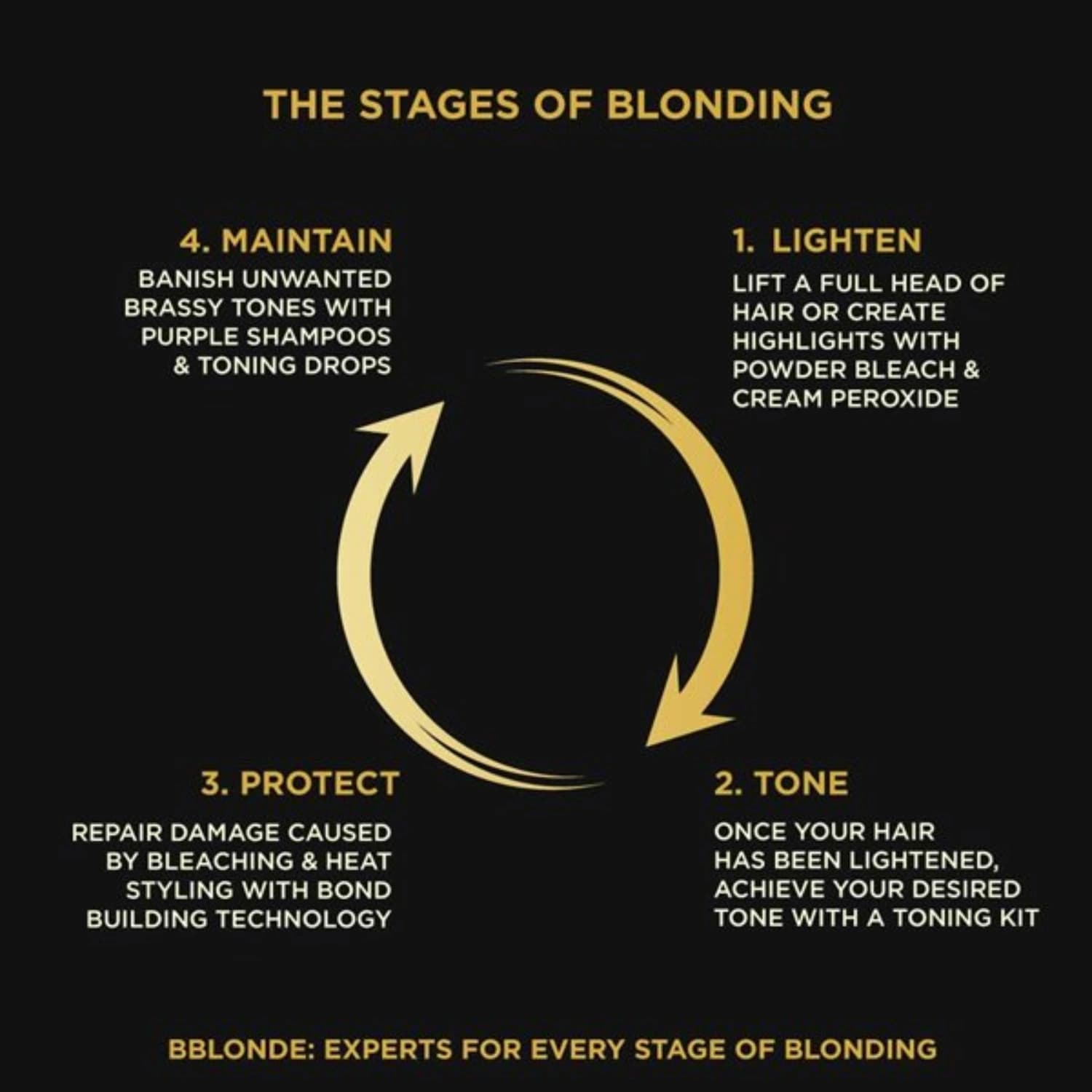 Maximum Blonding Kit No. 1
