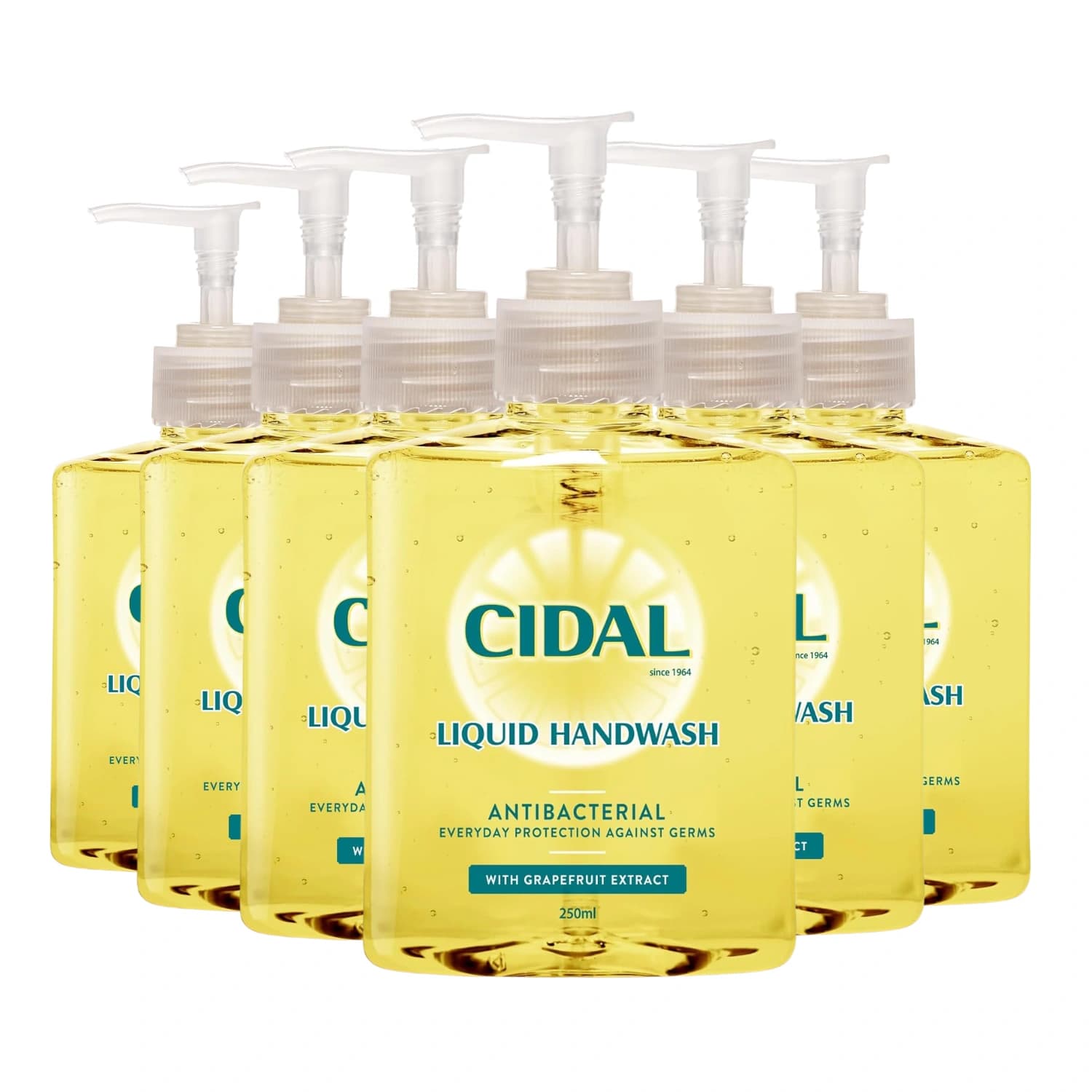 Cidal Antibacterial Liquid Handwash 250ml