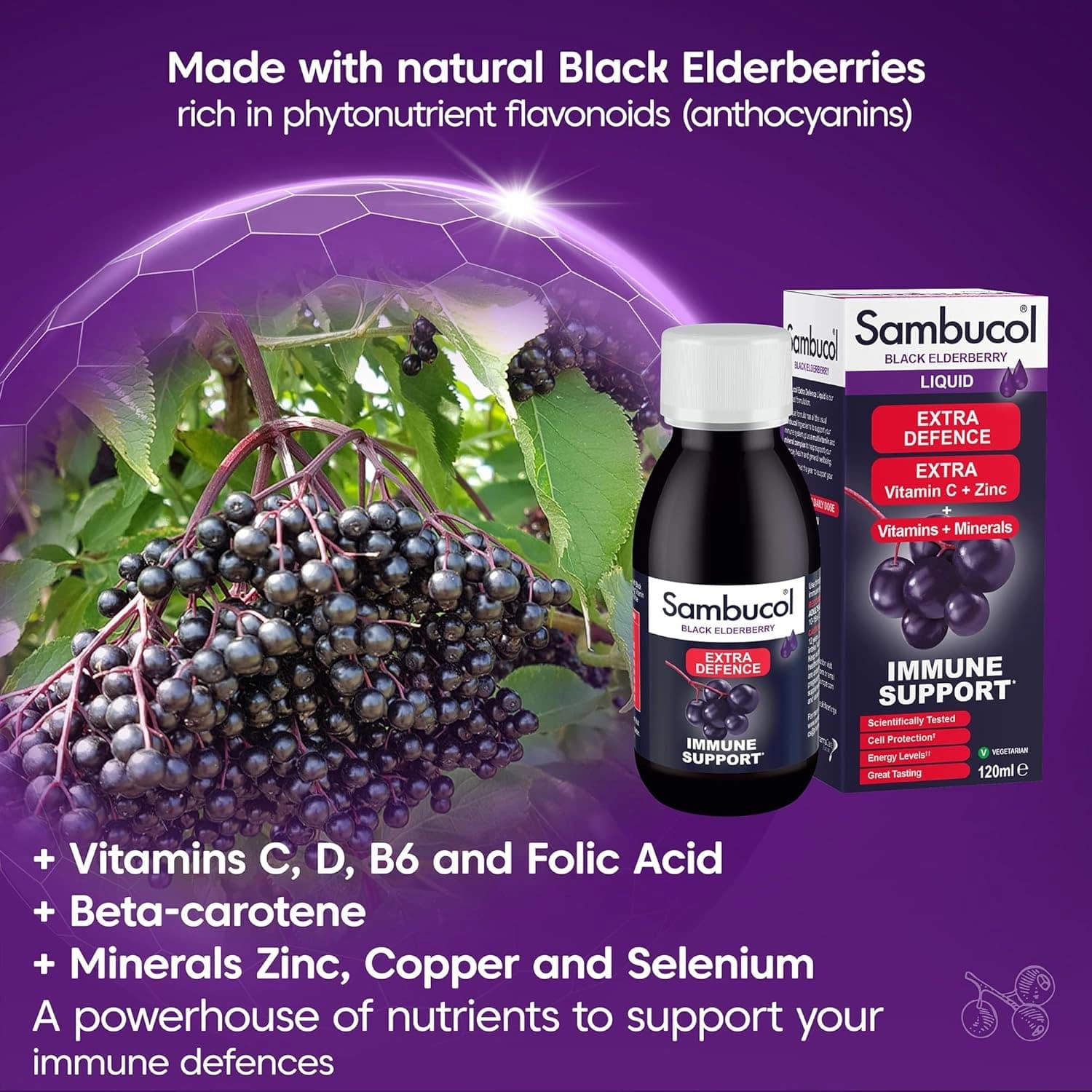 Sambucol Black Elderberry Liquid Extract for Kids 120ml