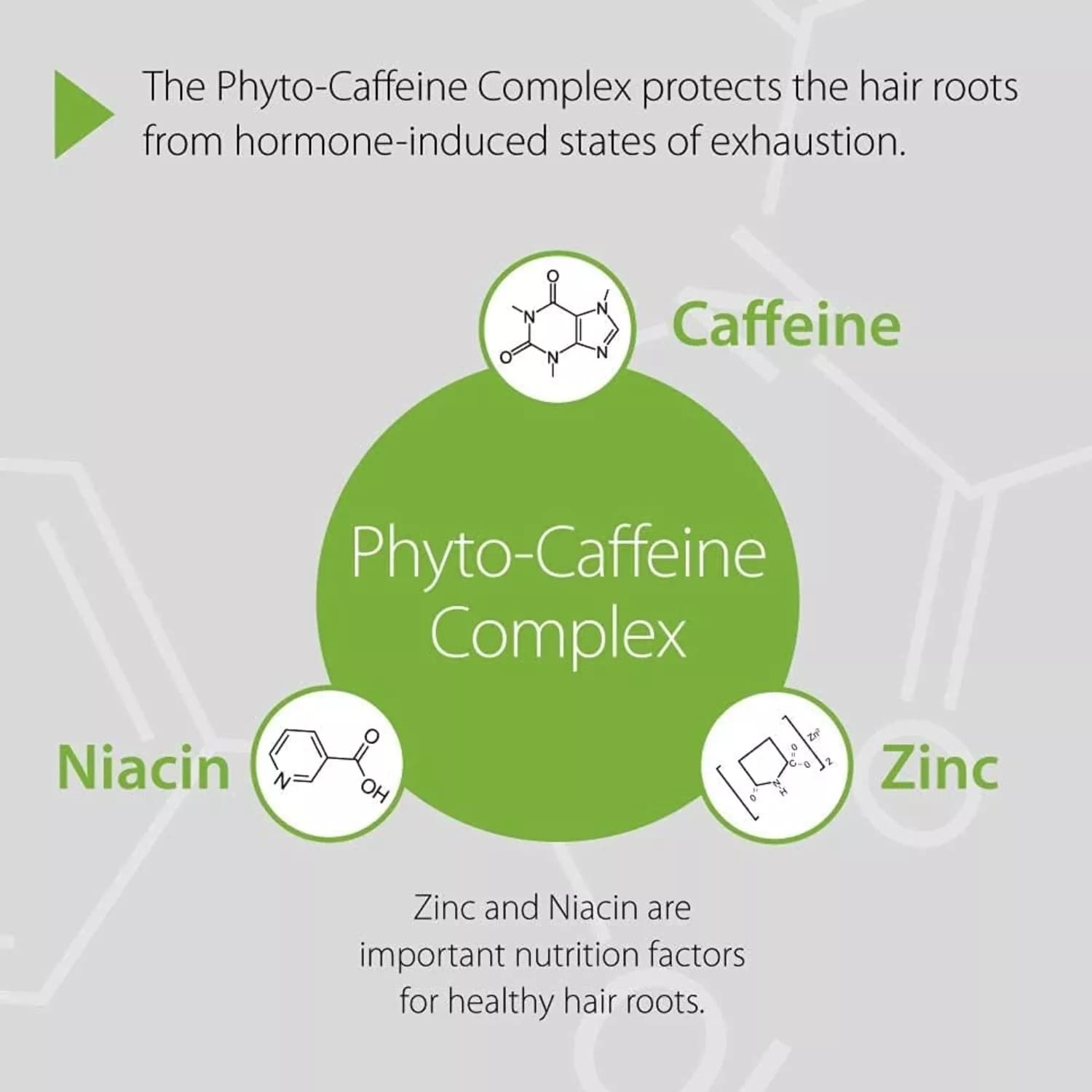 Plantur 39 For Women Caffeine Tonic 200ml