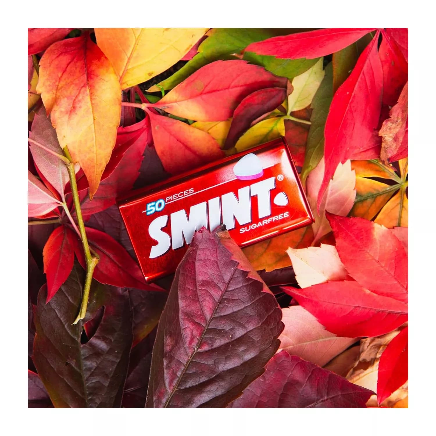 Smint XXL Strawberry Sugar free 50 Mints