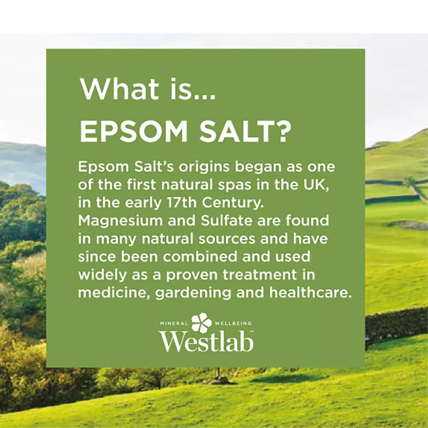 Westlab Epsom Salt 1kg