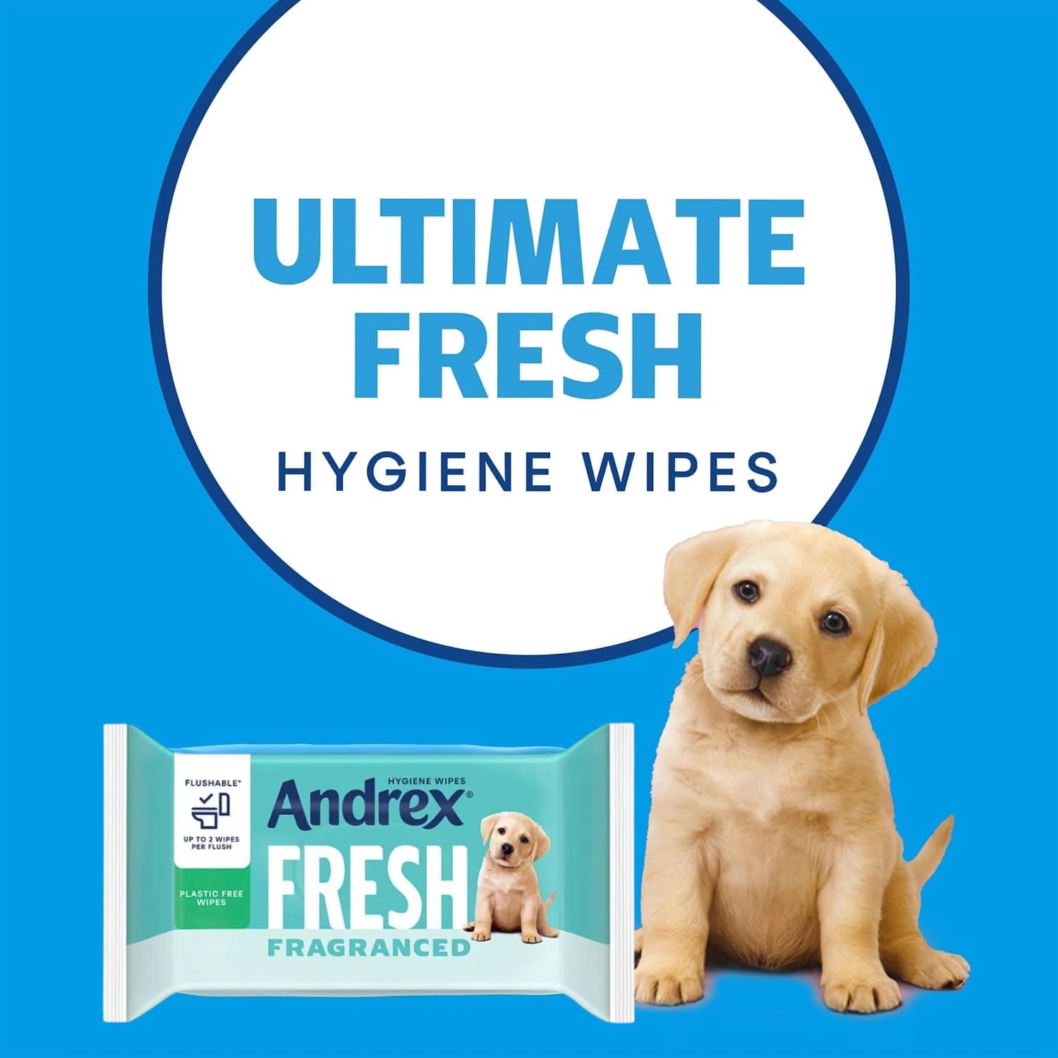 Andrex Fresh Fragranced Hygiene Wipes Pack of 30