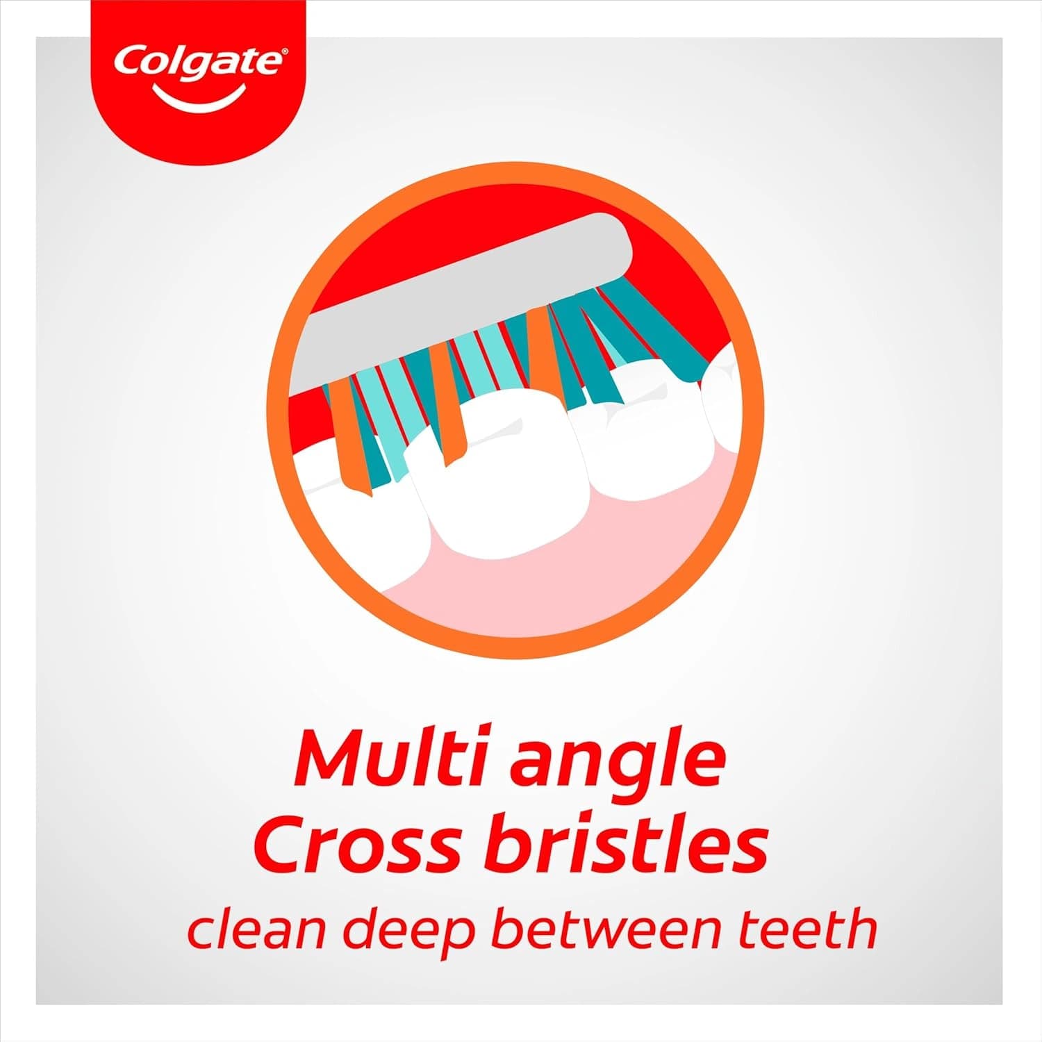 Colgate Toothbrush Zig Zag Firm