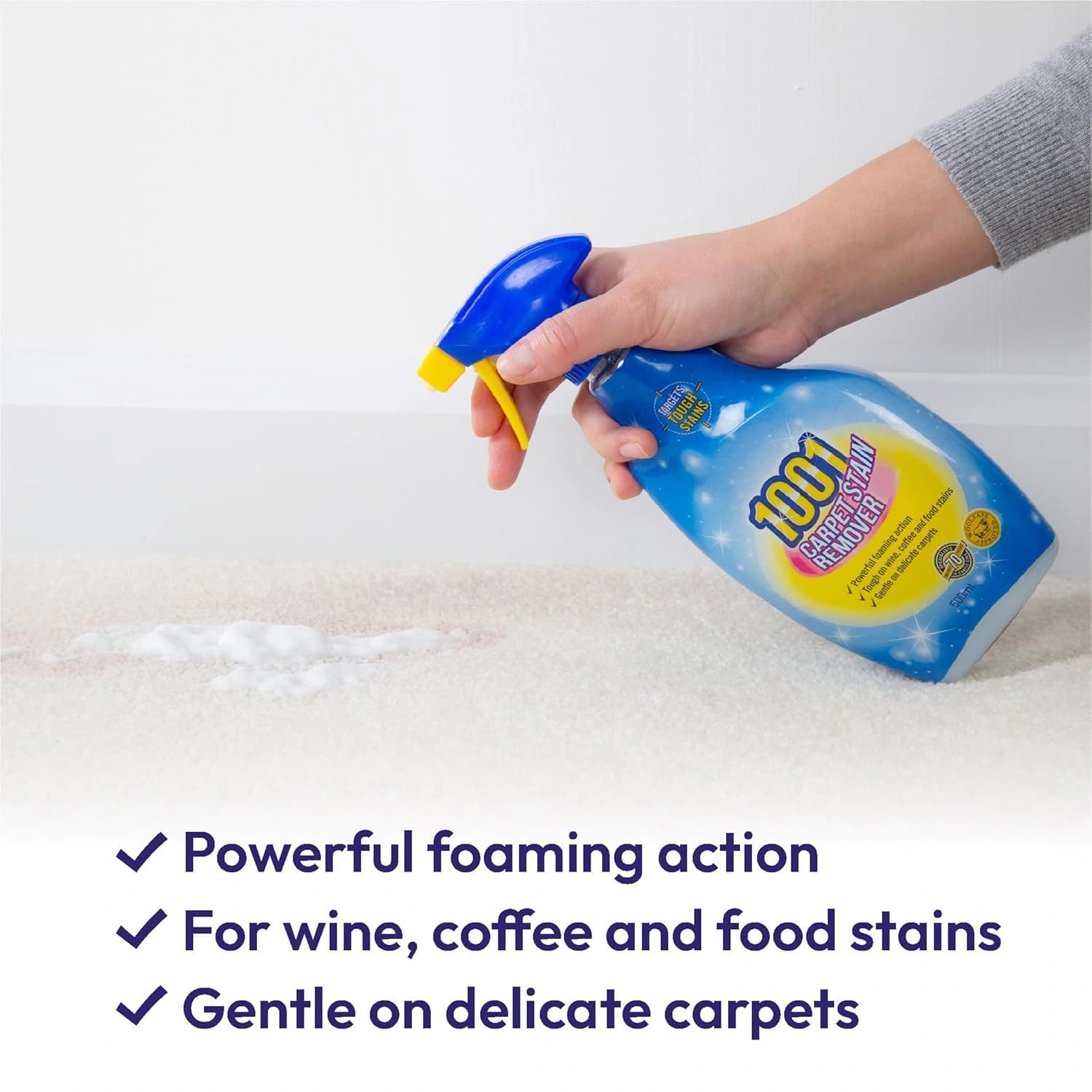 1001 Carpet Stain Remover Spray Cleaner 500ml