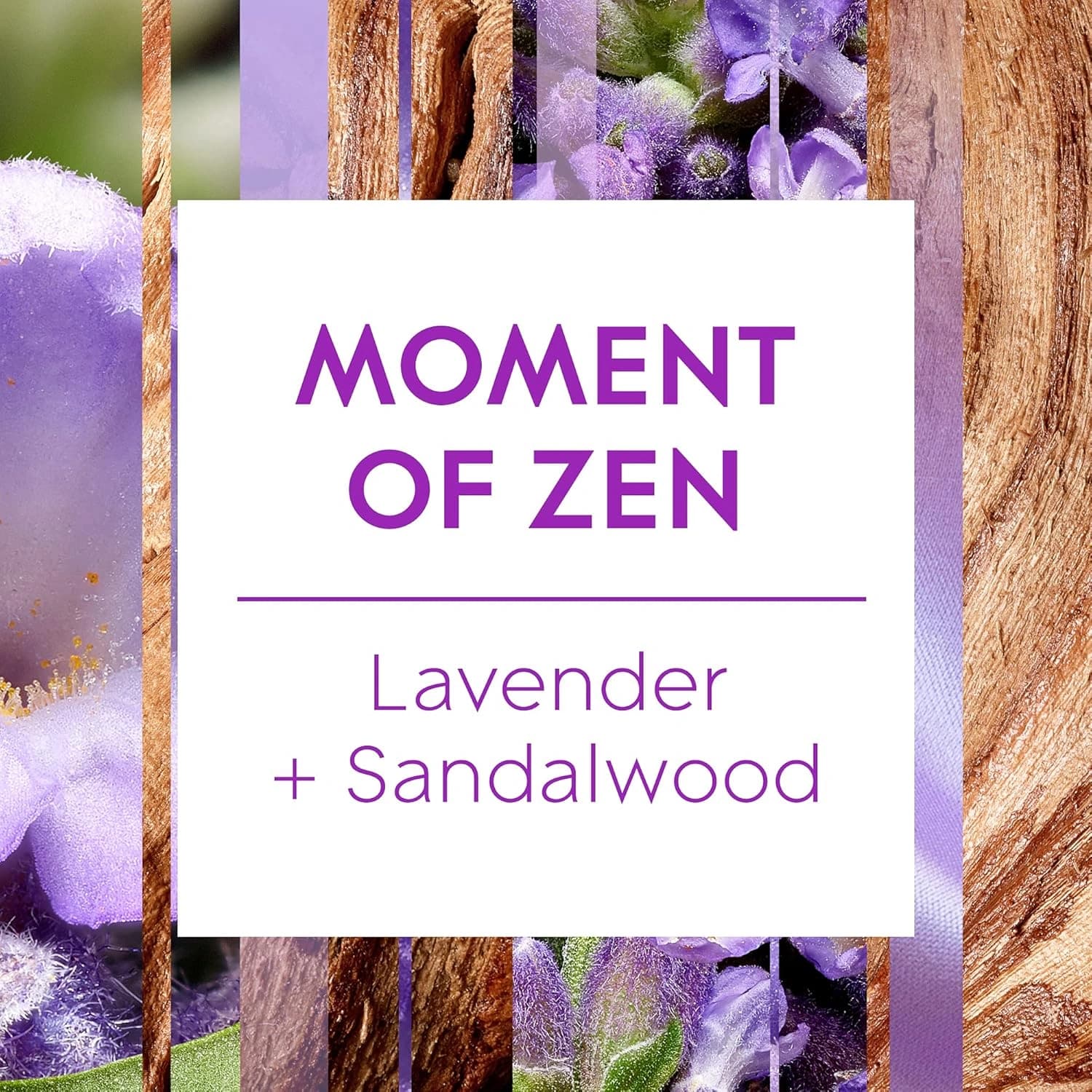 Glade Aromatherapy Mist Diffuser Holder Moment of Zen