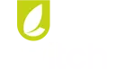 Witch